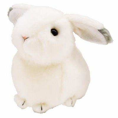 りくのなかまたち ぬいぐるみ 雪うさぎ プレゼント 動物 ギフト ふわふわ アニマル かわいい 子供 人形 13cm 通販 Lineポイント最大get Lineショッピング