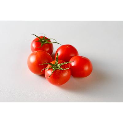 ふるさと納税 行方市 フルーツトマト「恋のつぼみ」プレミアム　1kg箱