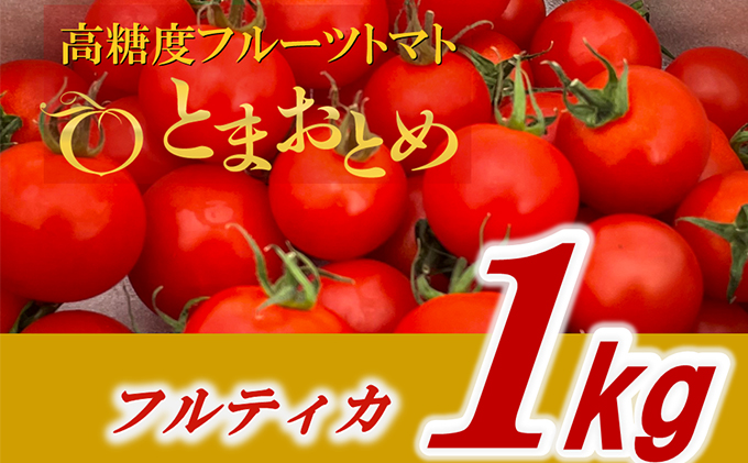 栃木県鹿沼産　高糖度フルーツトマト  ”とまおとめ” 1kg 野菜 トマト高糖度  濃厚 甘み 旨み 入手困難   お届け：2023年12月下旬～2024年6月上旬