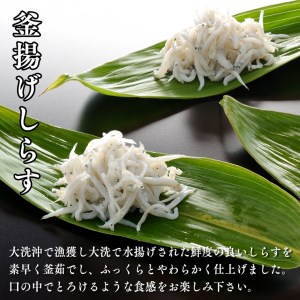 釜揚げしらす しらす干し 交互 定期便 (1kg×10か月) 天然 ふっくら 大洗 名産 しらす シラス 魚 さかな 魚介 離乳食