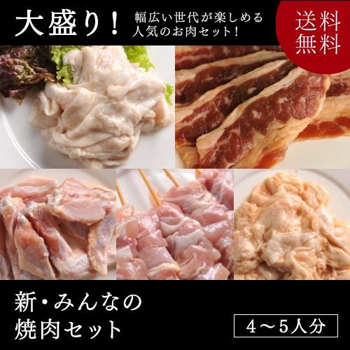 送料無料 焼肉 バーベキュー新・みんなの焼肉セット