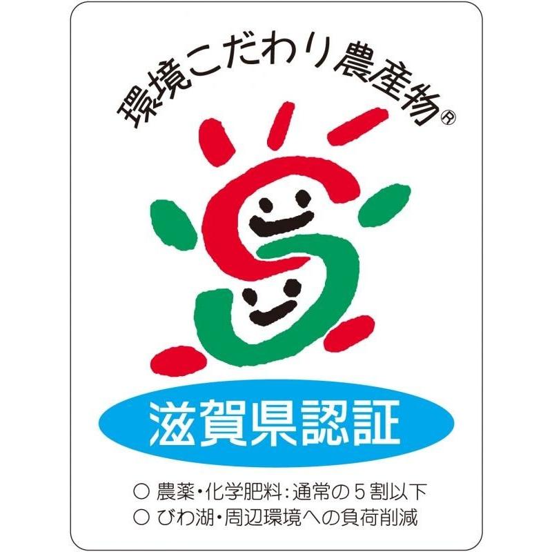 米　令和5年度産　滋賀県産　フクハラファーム栽培　合鴨農法　コシヒカリ 5kg