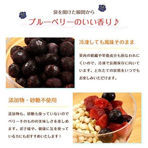  業務用 フルーツ VeryBerry 冷凍 ブルーベリー 500g ノースイ 冷凍フルーツ