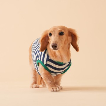 【tails&me 尾巴與我】經典寵物衣EH-寵物條紋無袖背心 (共三色)