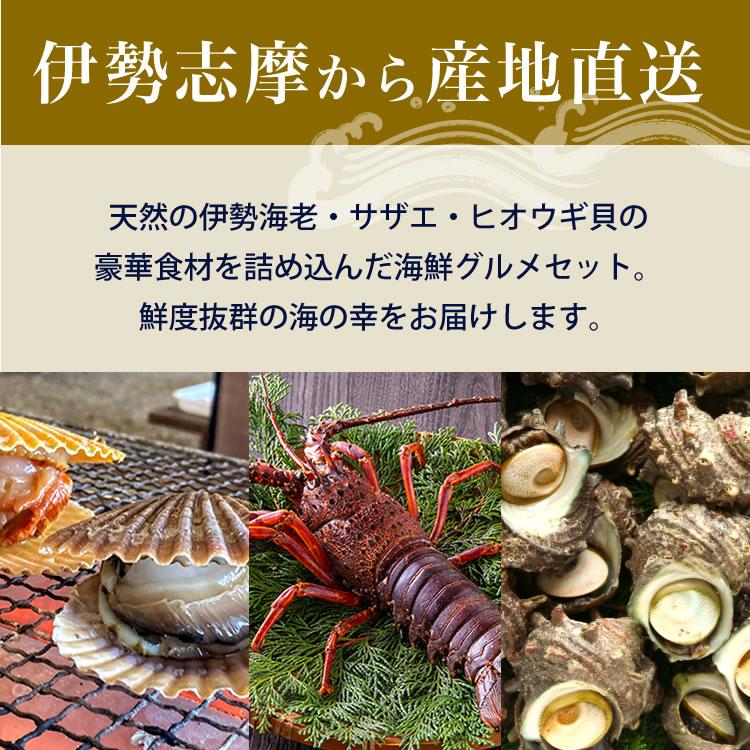 海鮮グルメセット ひおうぎ貝 さざえ 伊勢海老 伊勢志摩産 産地直送 ばた貝 サザエ 伊勢えび 伊勢志摩直送 4人〜5人前 おうちパーティー お歳暮 ギフト 送料無料