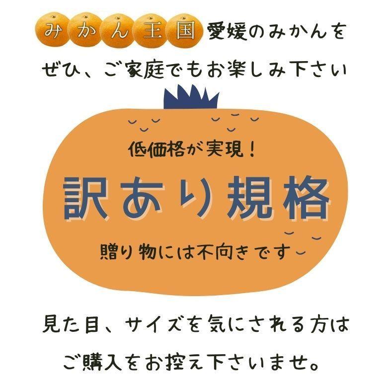 早生小粒愛媛みかん 約5ｋｇ　北海道・沖縄送料別途1000円