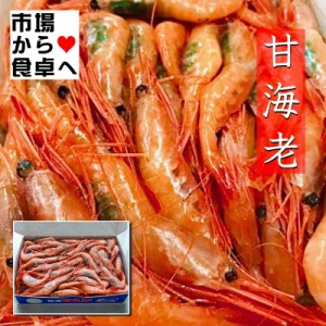 甘えび 有頭 刺身用 1kg (約90～100尾)甘くてプリプリ食感 