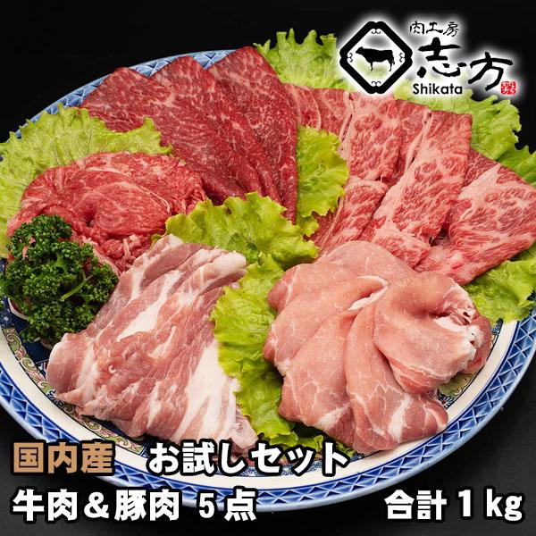 福袋 国産 お試しセット 牛肉＆豚肉 5点セット 1kg