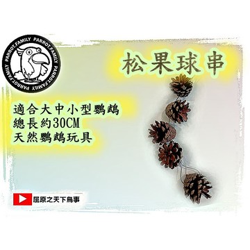 龍貓玩具 鸚鵡松果玩具 鸚鵡通用 總長30公分 鸚鵡磨牙 鸚鵡解膩