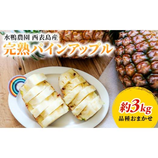 ふるさと納税 沖縄県 竹富町 2024年 先行予約 完熟 パインアップル 約3kg 水鴨農園 パイン パイナップル 果物 フルーツ