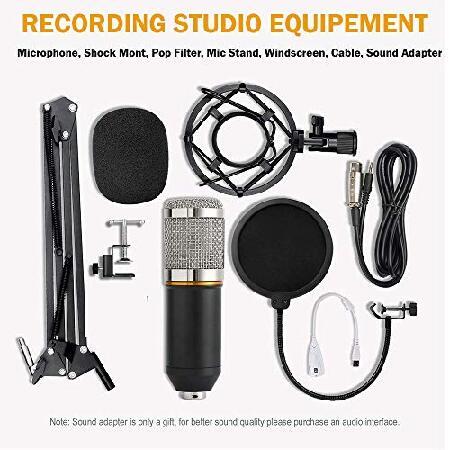 navor Condenser Microphone Combo, Cardioid Professional PC Mic Kit with Adjustable Mic Suspension Scissor Arm, Shock Mount and Pop Filter for Studio R