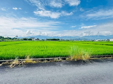 三星農地/931.9坪｜宜蘭縣三星鄉尚義北段