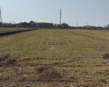 （新屋後湖595方正美農地）｜桃園市新屋區新屋