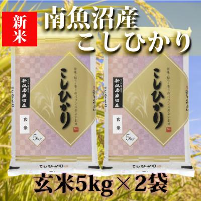 ふるさと納税 南魚沼市 南魚沼産コシヒカリ「YUKI」(玄米5kg×2袋)