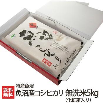 魚沼産 コシヒカリ 無洗米 5kg（化粧箱入り）  特産魚沼 送料無料