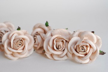 紙花，DIY 小號 20 支桑椹玫瑰，尺寸 4.5 厘米，淺棕。