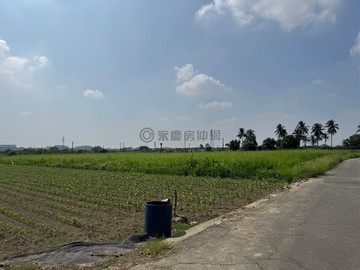 ★台南山上區樹王段｜明南段｜地形方正農地★｜台南市山上區明南段