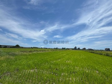 壯圍近中道國際學校五權段方正美農地｜宜蘭縣壯圍鄉五權段