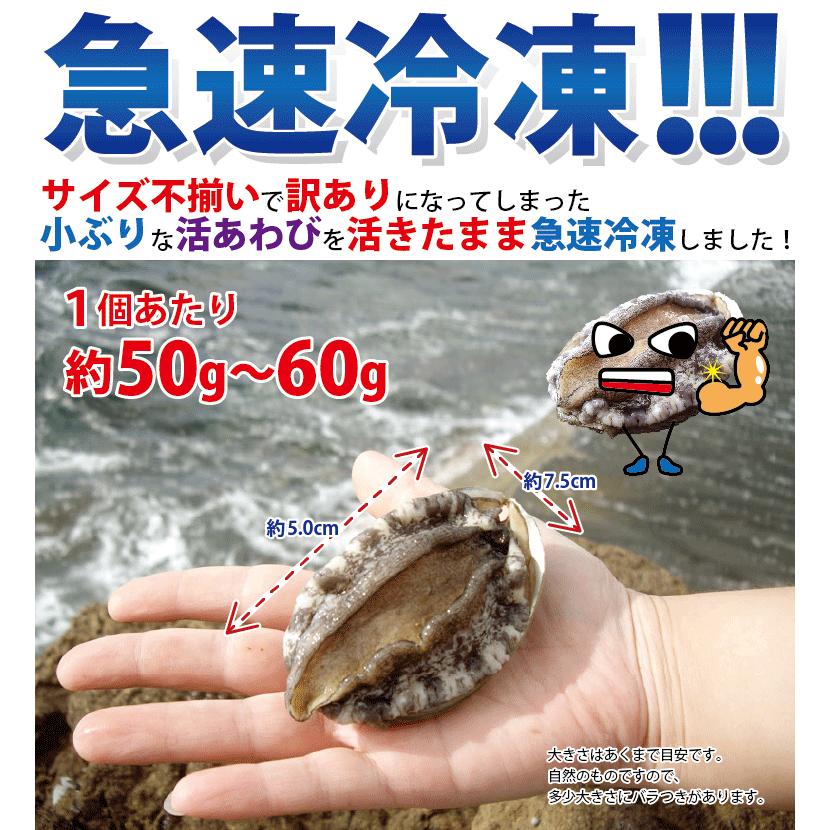 あわび アワビ 鮑 活 5個入り (1個50-60g) (養殖) プレゼント ギフト 刺身 海鮮丼 海鮮バーベキュー BBQ バーベキュー お取り寄せ ((冷凍))