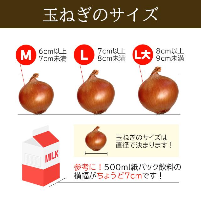 出荷開始中 新じゃがいも 送料無料 北海道産 じゃが玉セット インカのめざめ 5kg(Sサイズ以上)＆玉ねぎ 5kg(L〜L大)合計10kg   10キロ 野菜セット