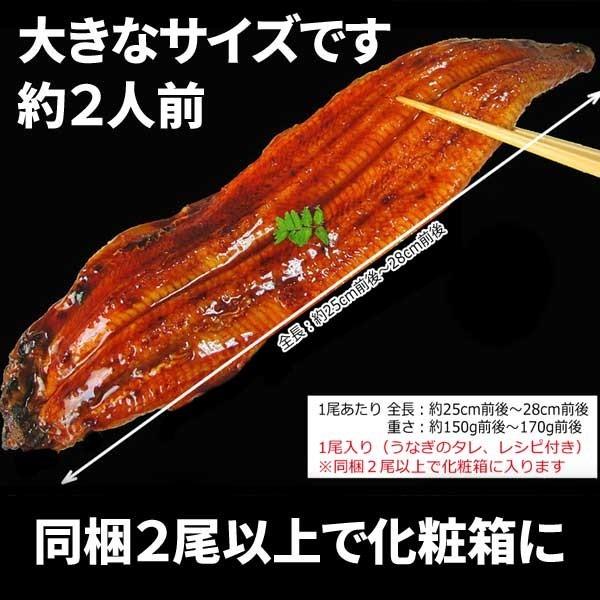 うなぎ 蒲焼き 国産 ギフト 鰻 うなぎ蒲焼き 九州産 1尾 大(約160g前後×1尾) 宮崎・鹿児島県産 うなぎ 同梱6尾で送料無料に