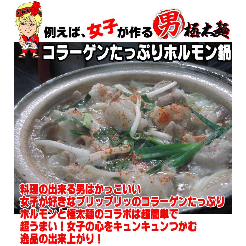 送料無料 うどん 男の極太 麺 6〜8人前セット完熟半生 讃岐うどん ネコポス お試し 讃岐 送料無 食品 激安