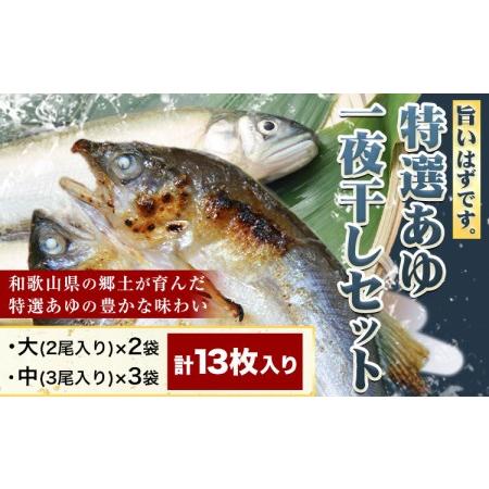 ふるさと納税 「旨いはずです。」特選あゆ一夜干しセット(13枚入)　日高川漁業協同組合《90日以内に順次出荷(土日祝除く)》 和歌山県 日高川.. 和歌山県日高川町