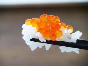 北海道産 秋鮭いくら醤油漬け 200g×3箱 ※冷凍 送料無料 イクラ サケ