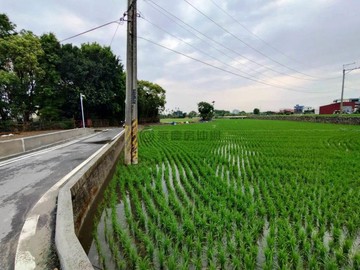 潭子嘉豐便宜農地1311坪.每坪6.64萬｜台中市潭子區嘉豐段