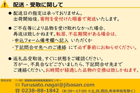 「A5ランク」米沢牛サーロインステーキ200g×3枚_B066