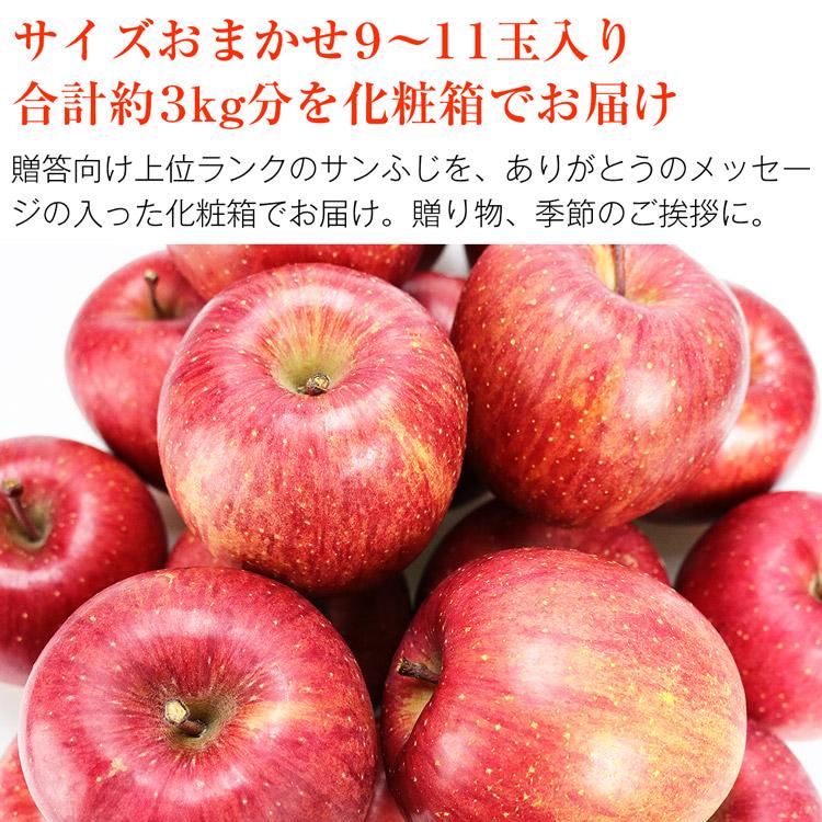 サンふじ 3kg 青森県産 贈答用 りんご 9〜11玉 産地直送 林檎 リンゴ ふじりんご フルーツ 果物 指定日不可 同梱不可 産直