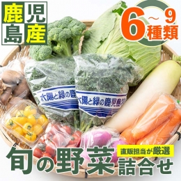 No.788 旬の野菜の詰め合わせ(6～9種類)