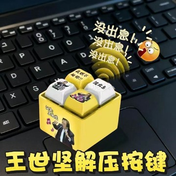 💥在臺24H💥隔日達 本來應該從從容容按鍵 四合一鍵盤發光解壓按鍵鑰匙 王世堅同款語音按鍵 從從容容按鍵 沒出息