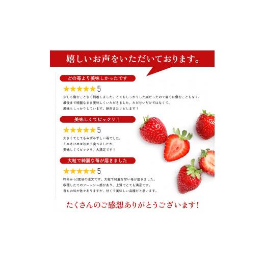 ふるさと納税 香川県 東かがわ市 [No.4631-2075]香川県オリジナル品種！ さぬきひめ苺 400g 化粧箱入り 年内受付