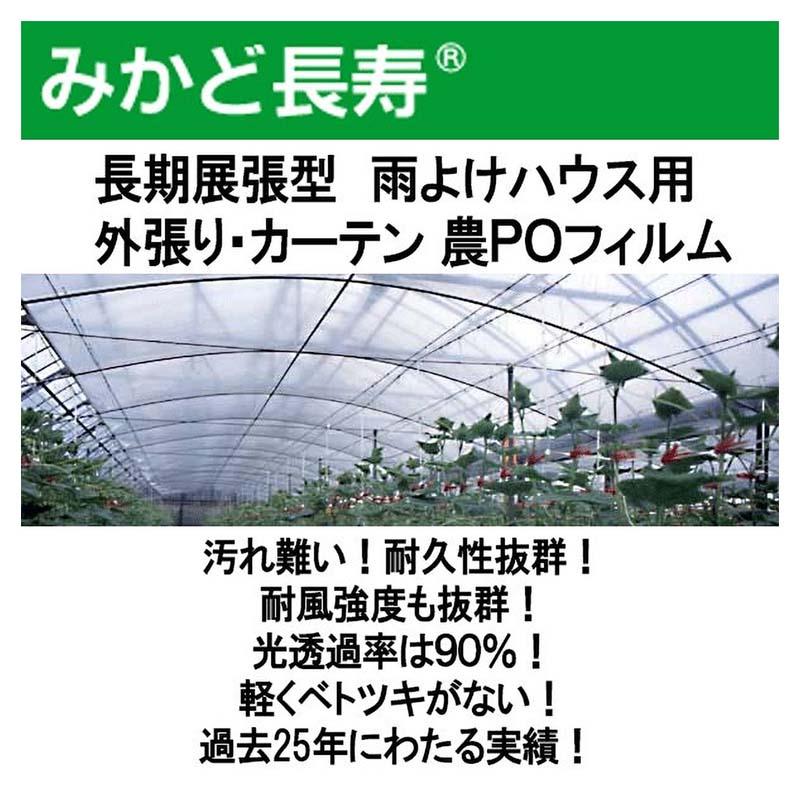 0.1mm厚 460cm幅 50m みかど長寿 100A 雨よけハウス外張り用 農PO 透明 カ施