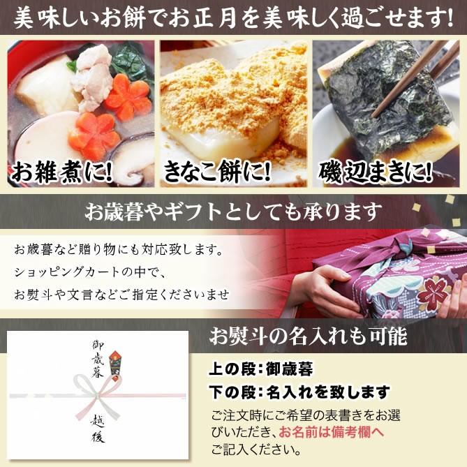 今議特撰 越後こがね餅 10枚入×6袋 3kg 送料無料 （北海道、九州、沖縄除く）