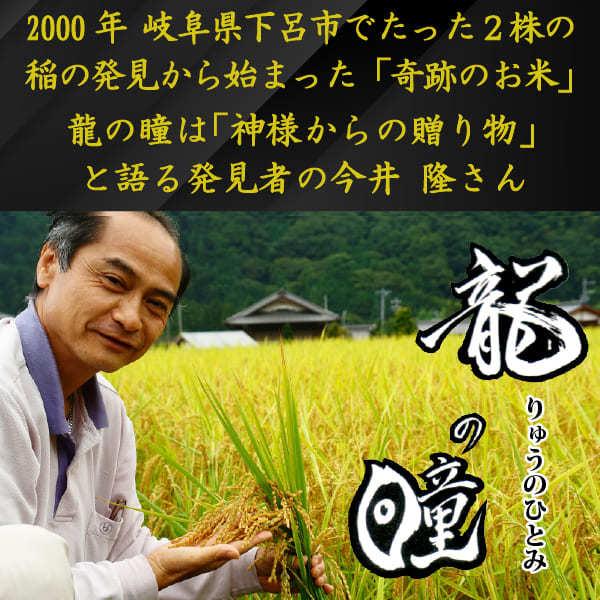 新米入荷 龍の瞳 5kg 令和5年産米 岐阜県産 白米  送料無料 一部地域除く