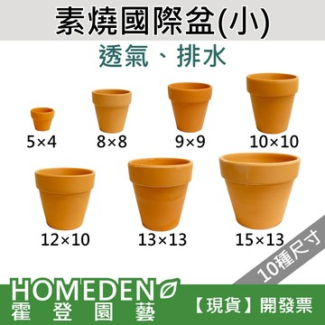 【隔日到貨】素燒國際盆(小) 紅瓦盆 紅土盆 透氣盆 有孔 紅陶盆 素陶盆 多肉盆 花盆 花器【HOMEDEN霍登園藝】