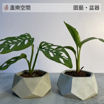 【稜邊水泥盆】 手作水泥盆 花盆 盆栽 清水模 多肉 觀葉 小品 辦公室擺設水泥花盆 圓柱型 正方形 最低價【盞樂空間】