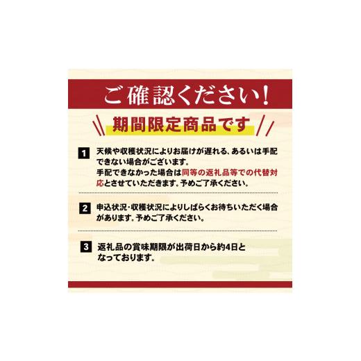 ふるさと納税 岩手県 大船渡市 いちご 2種 400g 品種おまかせ