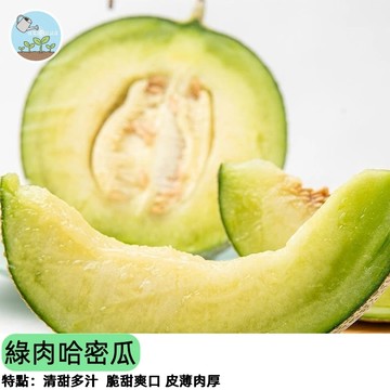 🇯🇵【日本進口種子】綠肉哈密瓜 洋香瓜 網紋哈密瓜 溫室栽培 高甜度翡翠綠果肉 陽盆栽植 頂級品種 自家採收樂趣