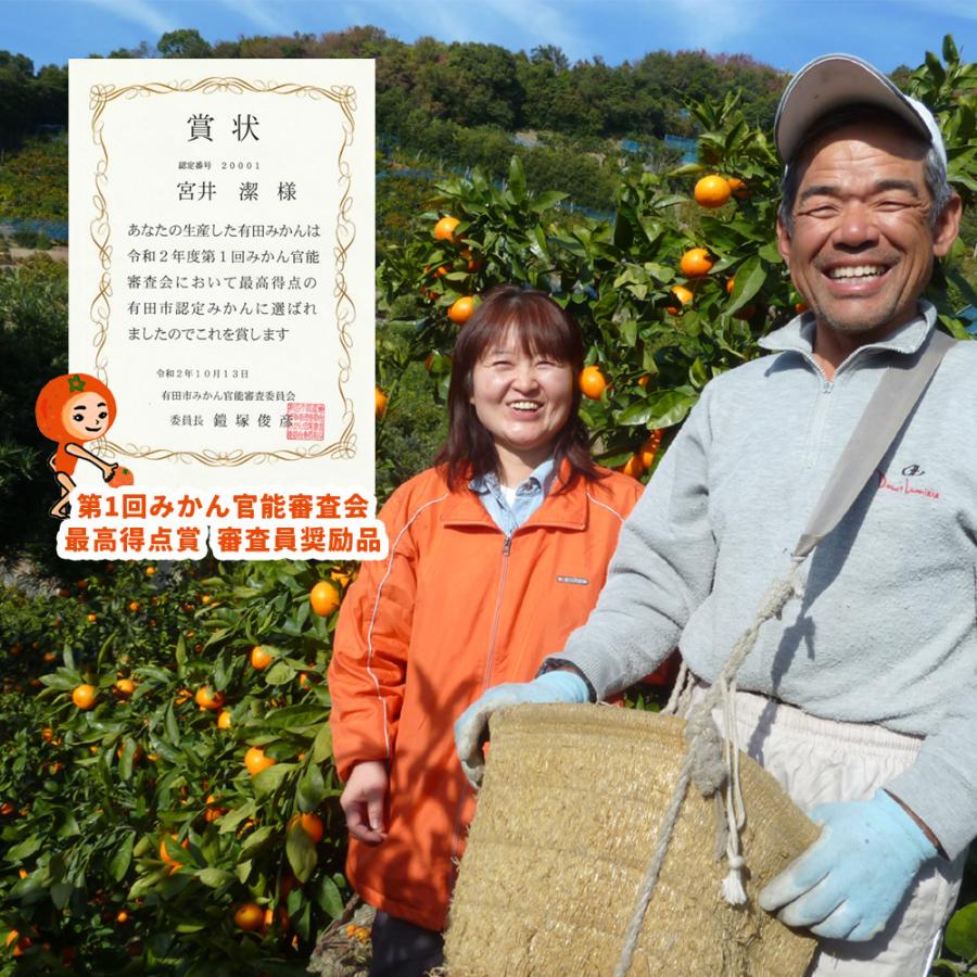 有田みかん 2Lサイズ以上の大玉みかん 5kg 化学肥料不使用 減農薬 和歌山有田山田原みかん やまがみかん園 送料無料