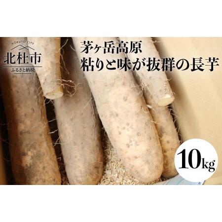 ふるさと納税 茅ヶ岳高原　粘りと味が抜群長芋　10kg箱 山梨県北杜市