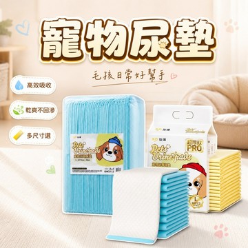 【台灣出貨】特厚超吸水尿墊｜寵物尿墊｜訓導吸水墊｜加厚防滲尿墊｜超強吸水