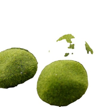 「探夢工藝品」仿真苔蘚苔蘚石頭植絨石頭 苔蘚草坪 微景觀擺件裝飾仿真假石頭