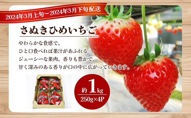 東かがわ市真っ赤な「いちご」の定期便（B）