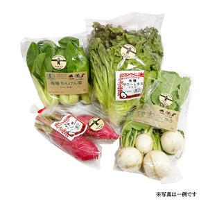 ふるさと納税 有機野菜おまかせ4種セット０６ 山梨県北杜市