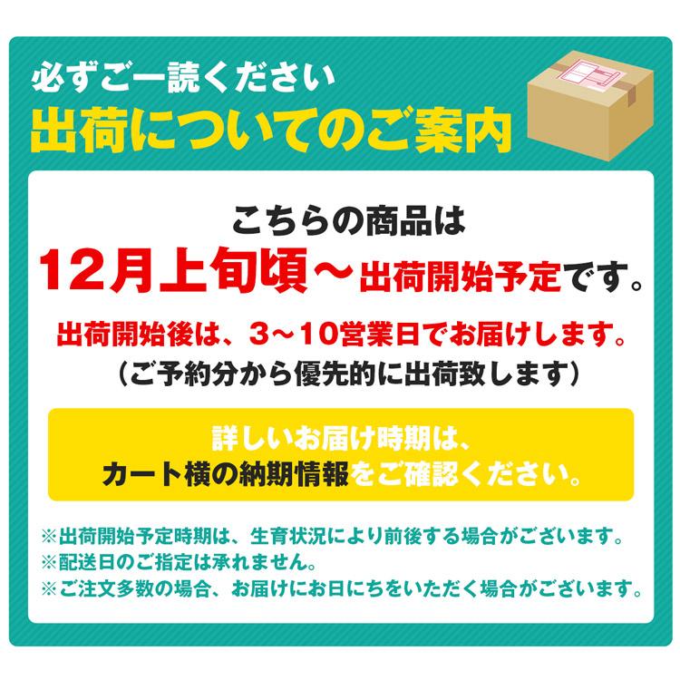 紅まどんな と同品種 あいか 愛果 約1.3kg 愛媛県産 JAえひめ中央 ミカン 蜜柑 柑橘 フルーツ 果物 常温便 同梱不可 指定日不可