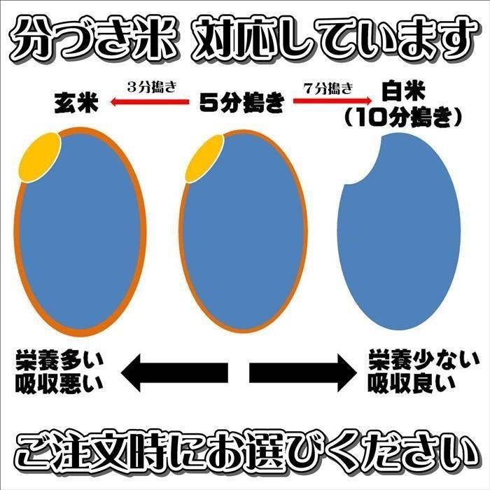 新米令和5年産　仁多米『まき』玄米1kg　〜馬木地区限定の仁多米〜