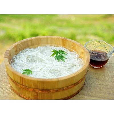 ふるさと納税 小豆島町 小豆島産　半生そうめん(250g)　10個入(めんつゆ付)